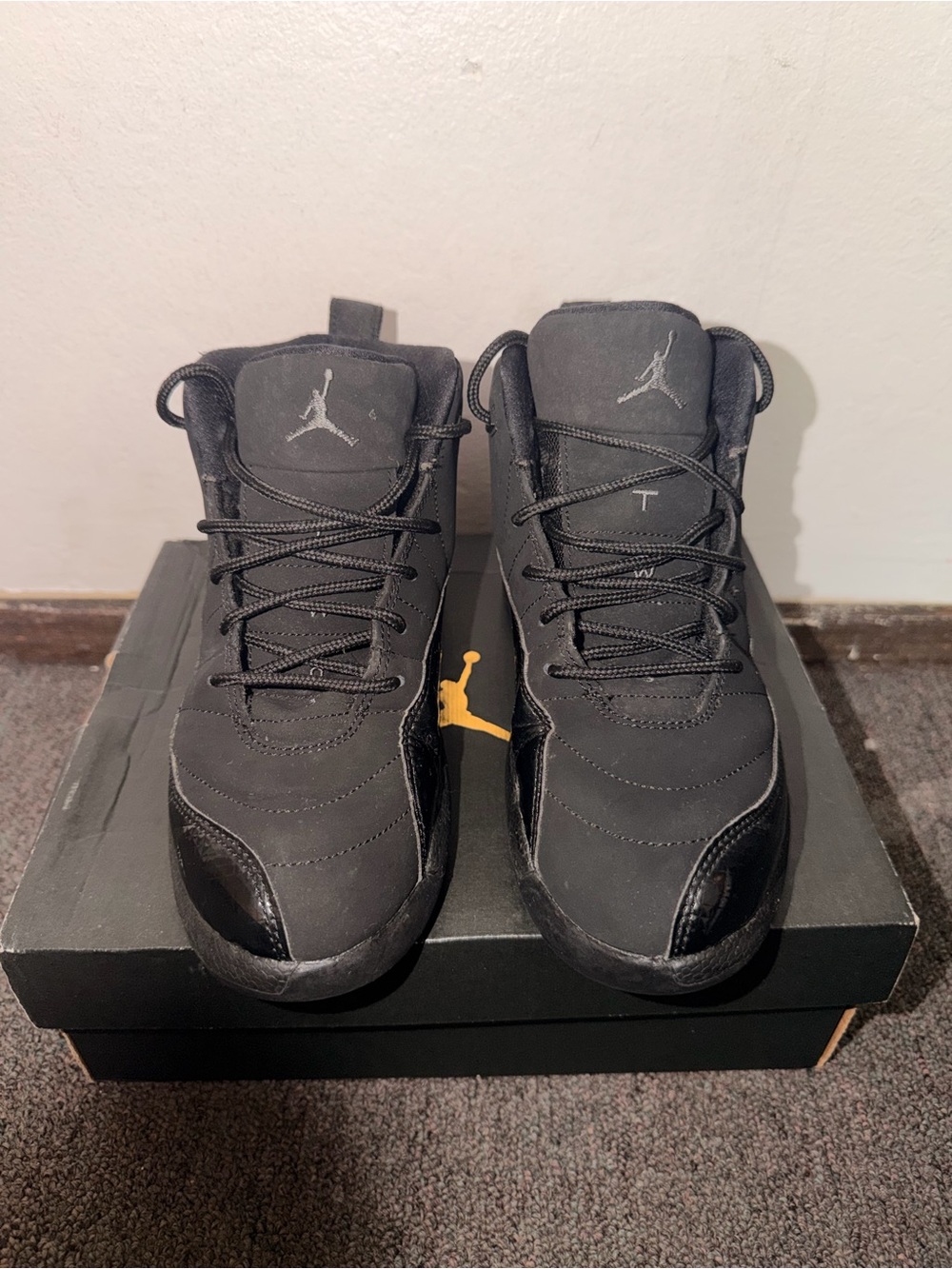 Jordan 12 black